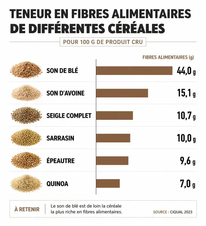 Infographie comparative de la teneur en fibres des céréales riches en fibres pour une alimentation équilibrée